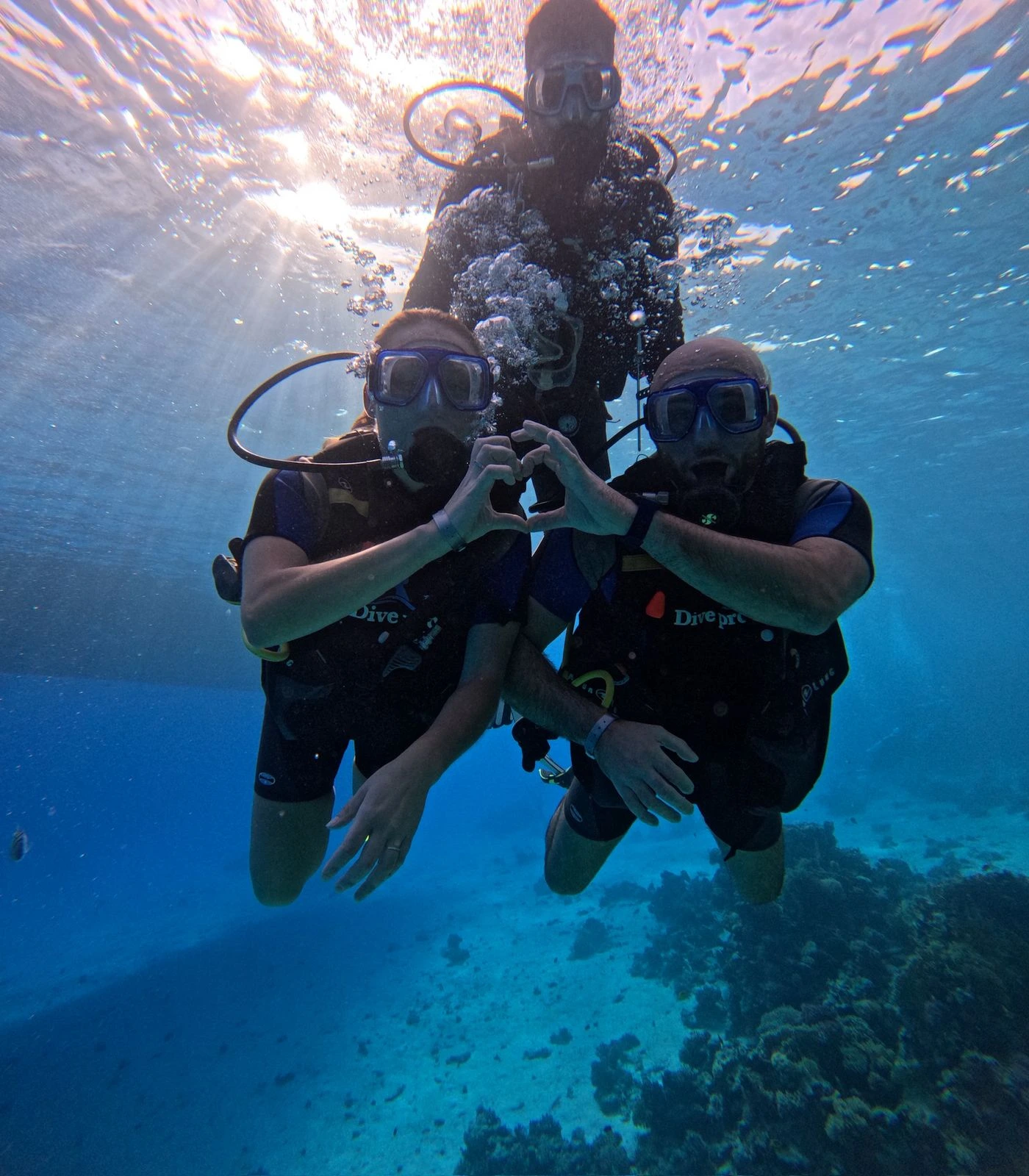 Discover the Dive In Difference