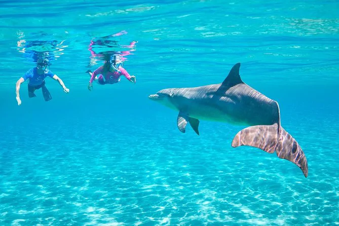 Hurghada Dolphin House Tour