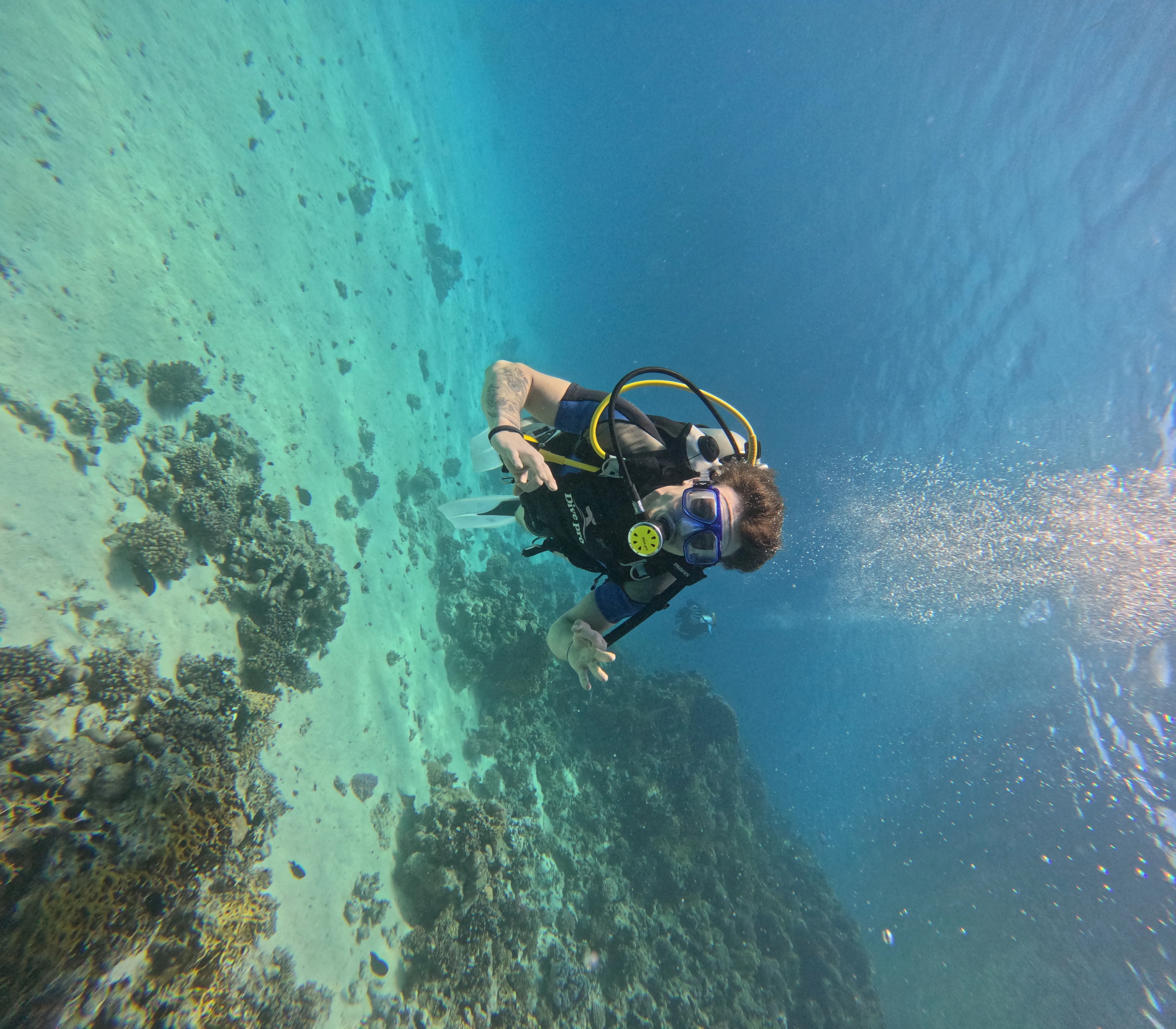 Introduction - Image 5