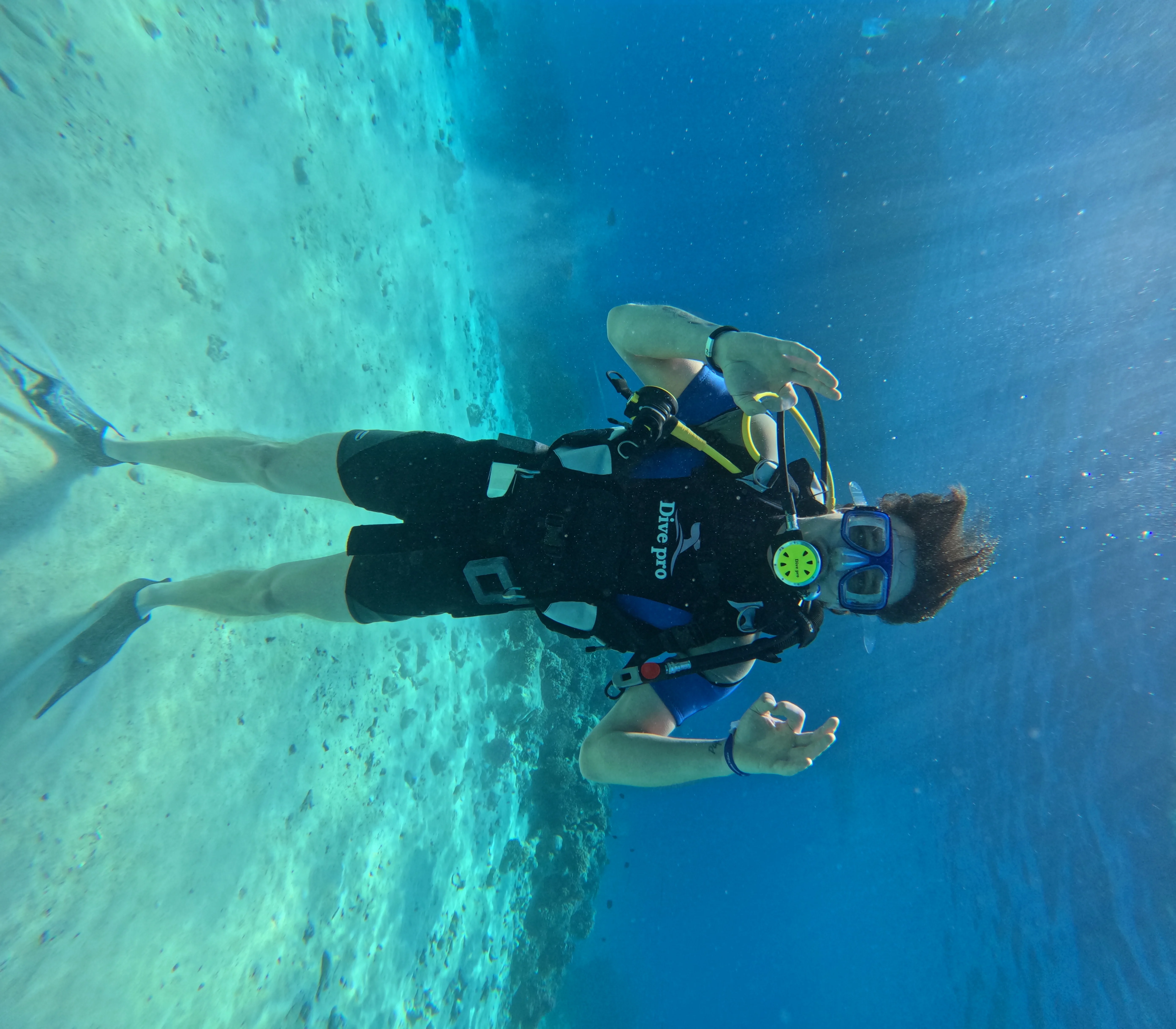 Introduction - Image 4