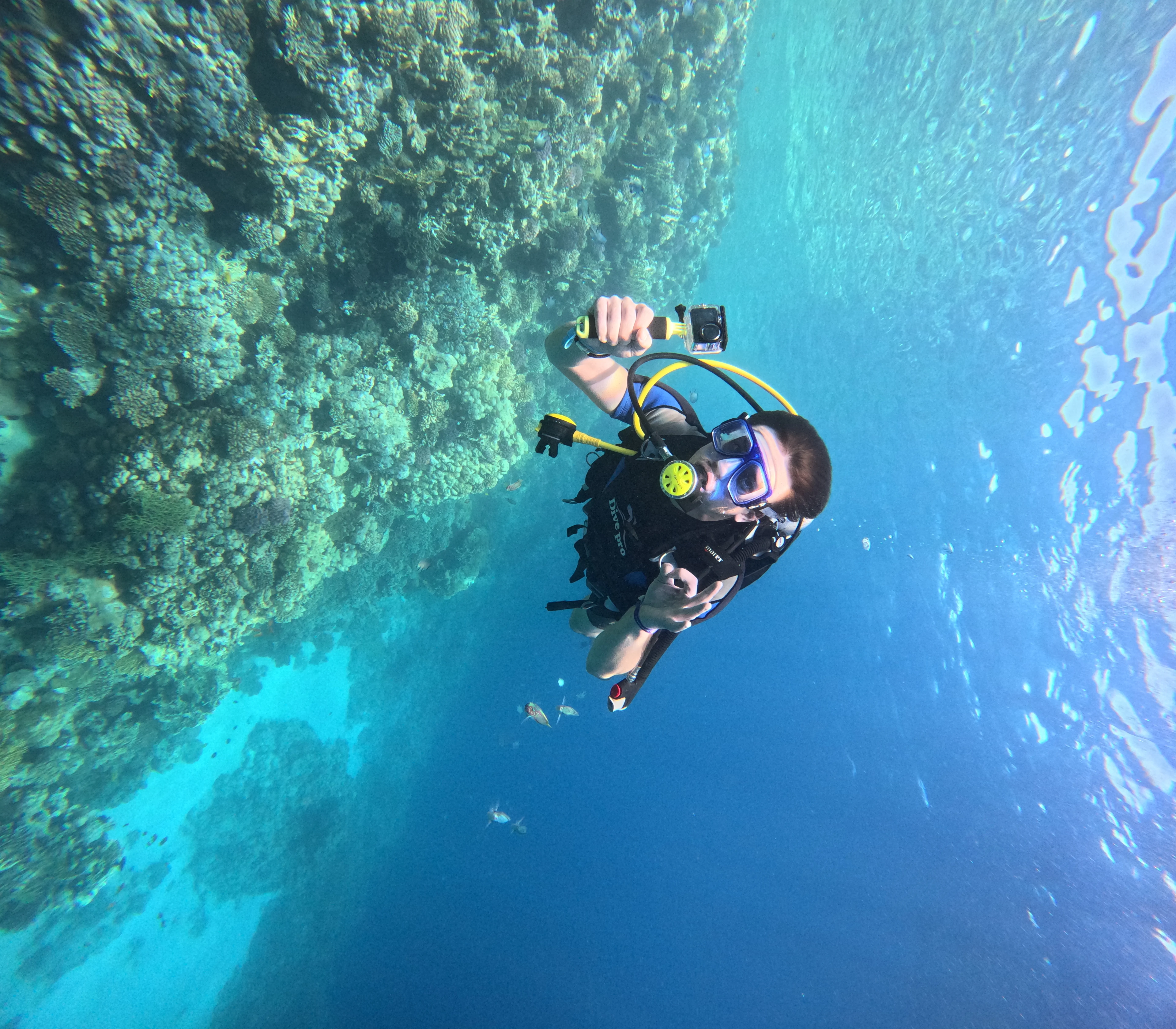 Introduction - Image 7